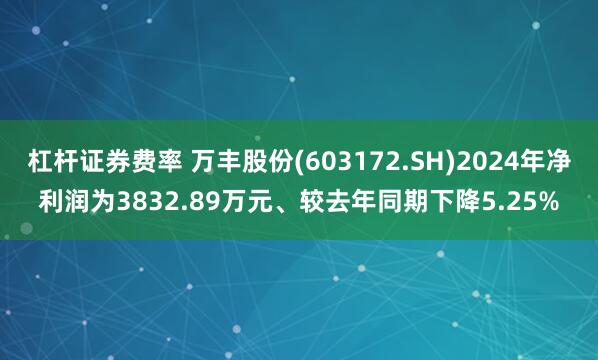 杠杆证券费率 万丰股份(603172.SH)2024年净利润为3832.89万元、较去年同期下降5.25%