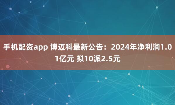 手机配资app 博迈科最新公告：2024年净利润1.01亿元 拟10派2.5元