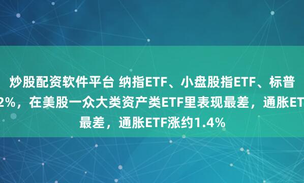 炒股配资软件平台 纳指ETF、小盘股指ETF、标普ETF收跌超2%，在美股一众大类资产类ETF里表现最差，通胀ETF涨约1.4%
