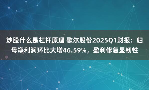 炒股什么是杠杆原理 歌尔股份2025Q1财报：归母净利润环比大增46.59%，盈利修复显韧性