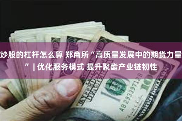 炒股的杠杆怎么算 郑商所“高质量发展中的期货力量” | 优化服务模式 提升聚酯产业链韧性