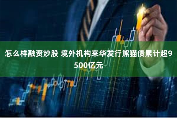 怎么样融资炒股 境外机构来华发行熊猫债累计超9500亿元