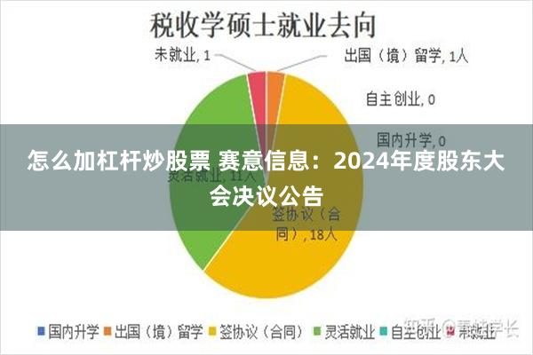 怎么加杠杆炒股票 赛意信息：2024年度股东大会决议公告