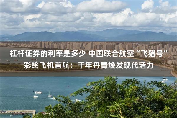 杠杆证券的利率是多少 中国联合航空“飞猪号”彩绘飞机首航：千年丹青焕发现代活力