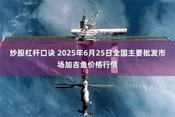 炒股杠杆口诀 2025年6月25日全国主要批发市场加吉鱼价格行情